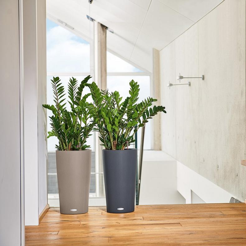 le_cilindro-color32_product_addi_01